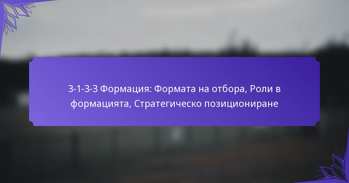 3-1-3-3 Формация: Формата на отбора, Роли в формацията, Стратегическо позициониране
